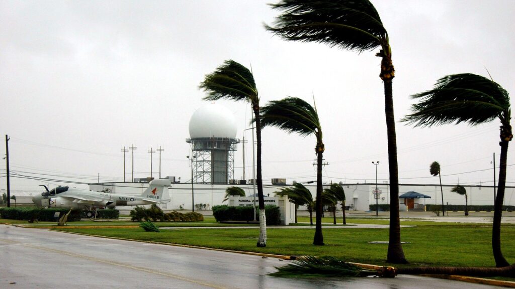 Palm trees bending in hurricane-force winds in Key West, Florida